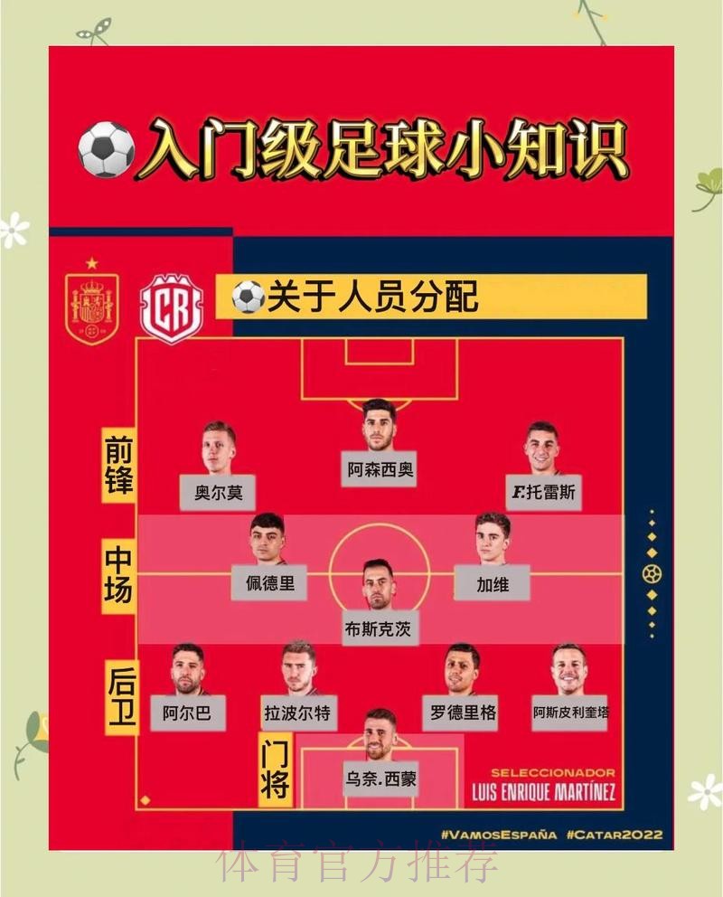 世界杯买球开户深度解析与热门攻略